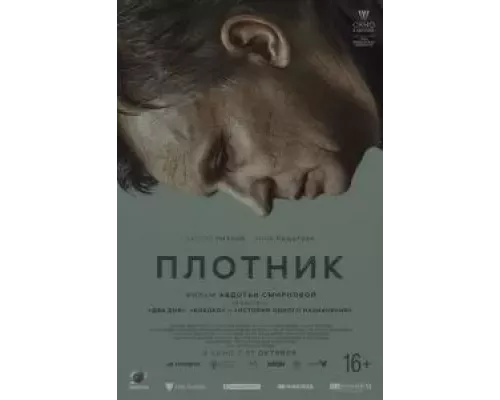   Плотник (смотреть онлайн)