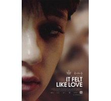 Похоже на любовь (2013)
