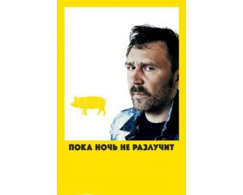   Пока ночь не разлучит (смотреть онлайн)