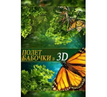 Полет бабочки 3D (2012)