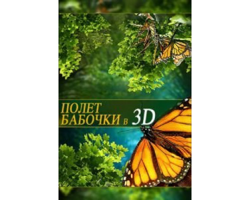 Полет бабочки 3D (смотреть онлайн)
