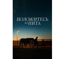 Положитесь на Пита (2017)