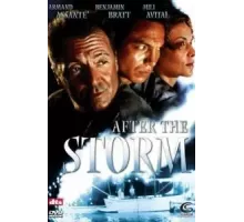 После шторма (2001)