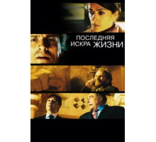 Последняя искра жизни (2011)