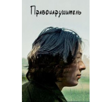 Правонарушитель (2016)