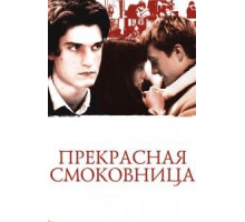 Прекрасная смоковница (2008)