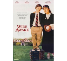 Пробуждение (1998)