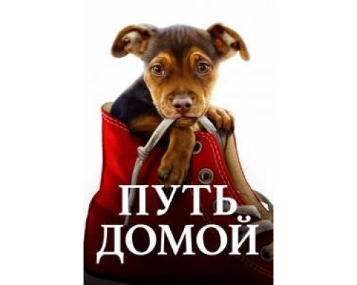   Путь домой (смотреть онлайн)