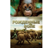 Рожденные на воле (2011)