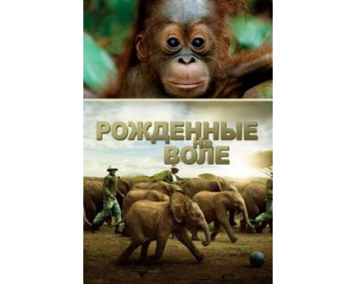 Рожденные на воле (смотреть онлайн)