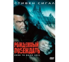 Рожденный побеждать (2010)
