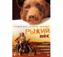 Рыжий пес (2011)