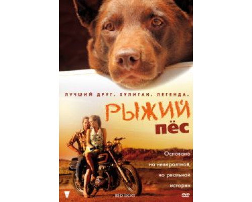   Рыжий пес (смотреть онлайн)