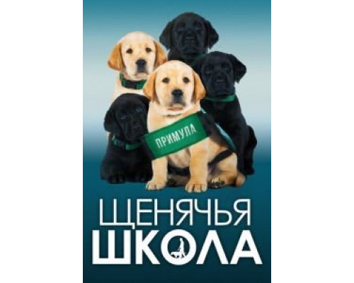   Щенячья школа (смотреть онлайн)