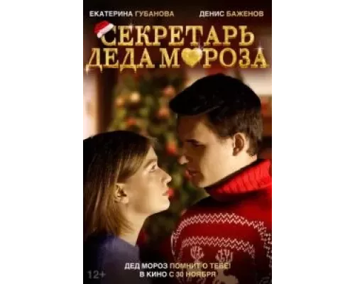 Секретарь Деда Мороза (смотреть онлайн)