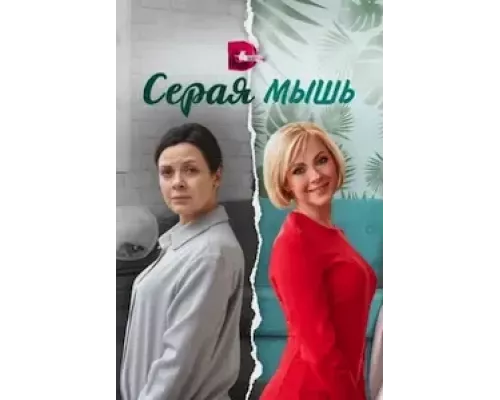Серая мышь 1 сезон смотреть онлайн 