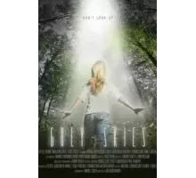Серые небеса (2010)