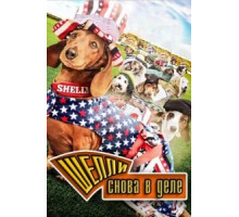Шелли снова в деле (2015)