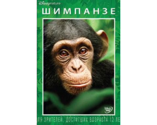 Шимпанзе (смотреть онлайн)