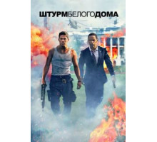 Штурм Белого дома (2013)