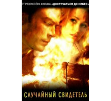 Случайный свидетель (2008)