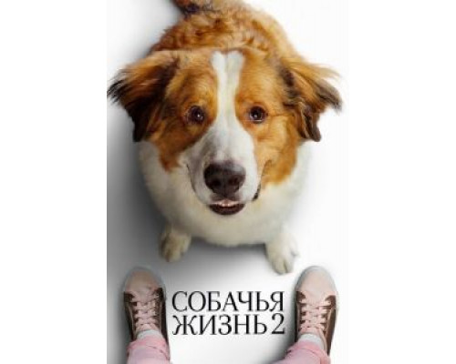   Собачья жизнь 2 (смотреть онлайн)