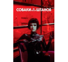 Собаки не носят штанов (2019)