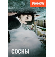 Сосны 1-2 сезон  (2015)
