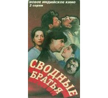 Сводные братья (1993)