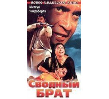 Сводный брат (1999)
