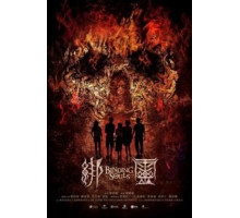 Связанные / Переплетающиеся души (2018)