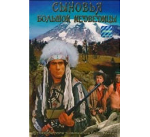 Сыновья Большой Медведицы (1965)