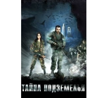 Тайна подземелья (2007)