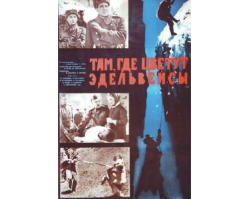 Там, где цветут эдельвейсы (смотреть онлайн)
