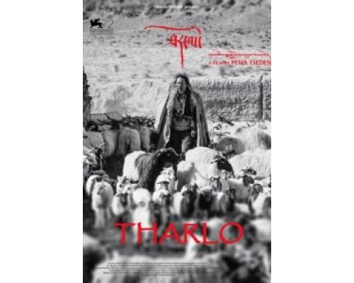 Тарло (смотреть онлайн)