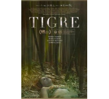 Тигр (2017)