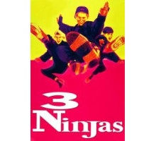 Три ниндзя (1992)