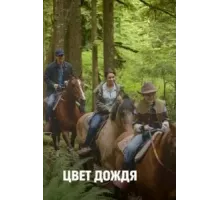 Цвет дождя (2014)