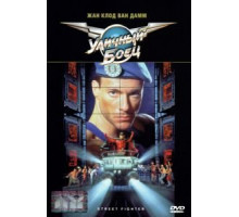 Уличный боец (1994)