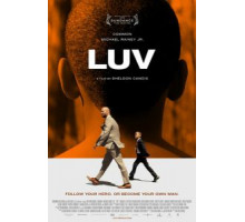 Урок от дяди Винсента (2012)