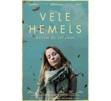 В бесконечных небесах (2017)
