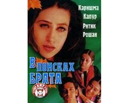 В поисках брата (смотреть онлайн)