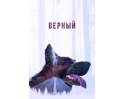   Верный (смотреть онлайн)