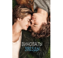 Виноваты звезды (2014)
