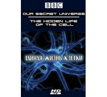Внутренняя вселенная: Тайная жизнь клетки (2012)