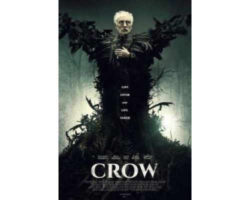 Ворон (смотреть онлайн)
