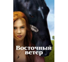 Восточный ветер (2013)