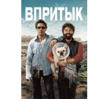 Впритык (2010)