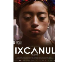 Вулкан Ишканул (2015)