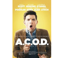 Взрослые дети развода (2013)